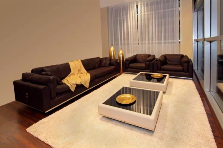 Canapé chocolat dans un salon moderne et épuré