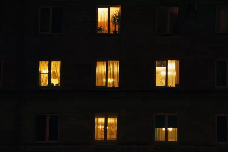 Les différents moyens de se débarrasser des papillons de nuit dans la maison