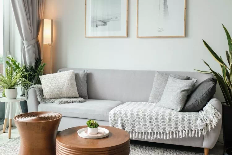 Canapé trois places gris clair dans un salon avec des plantes