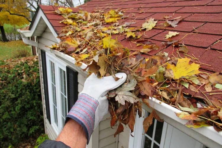Homme enlevant les feuilles d'une gouttière