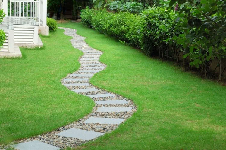 Pas japonais sinueux traversant une pelouse dans un jardin