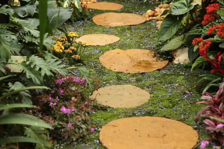 Pas japonais fait de pierres circulaires