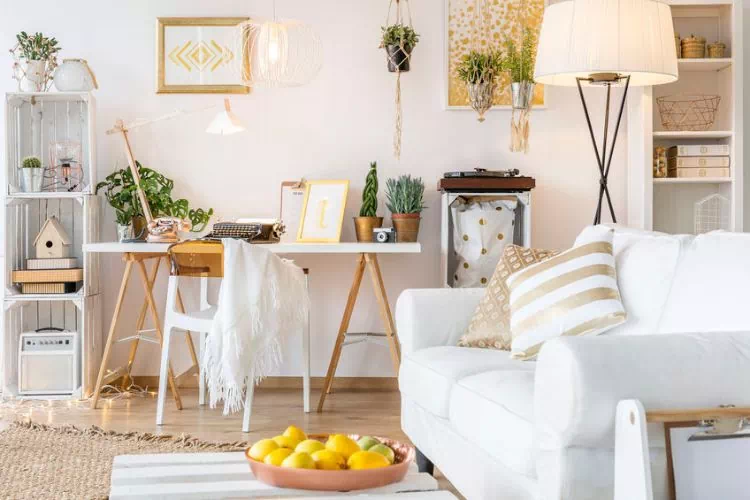 Salon décoré avec de nombreux bibelots et des plantes