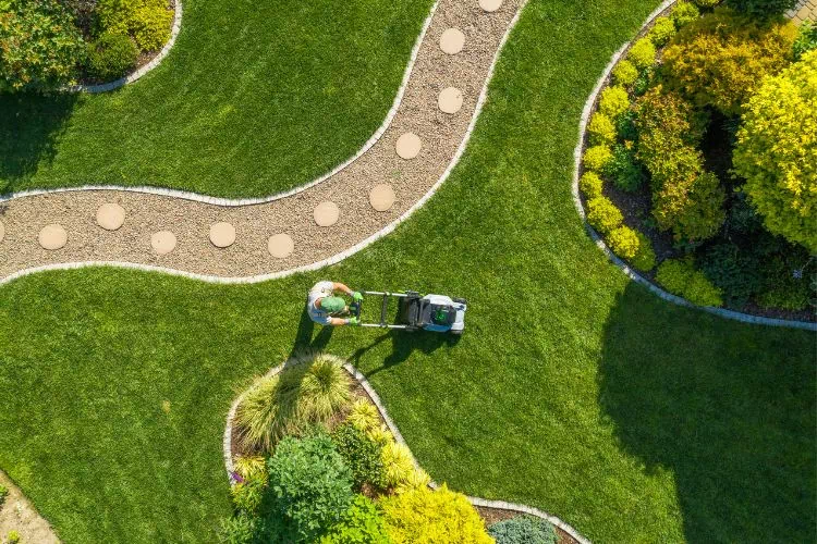Homme tondant son gazon avec une tondeuse frontale : vue du ciel