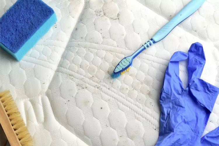 Équipement pour nettoyer les taches qui sont sur un matelas