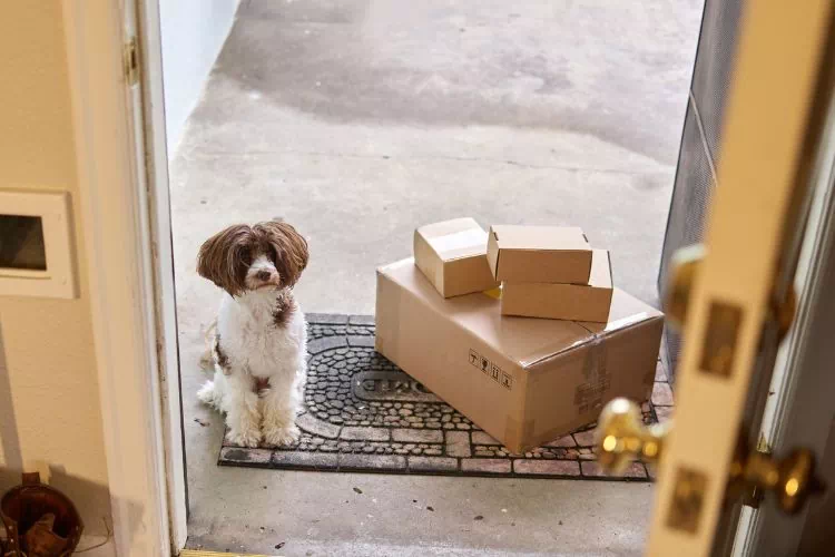 Paillasson devant la porte d'entrée d'une maison avec un chien et des cadeaux