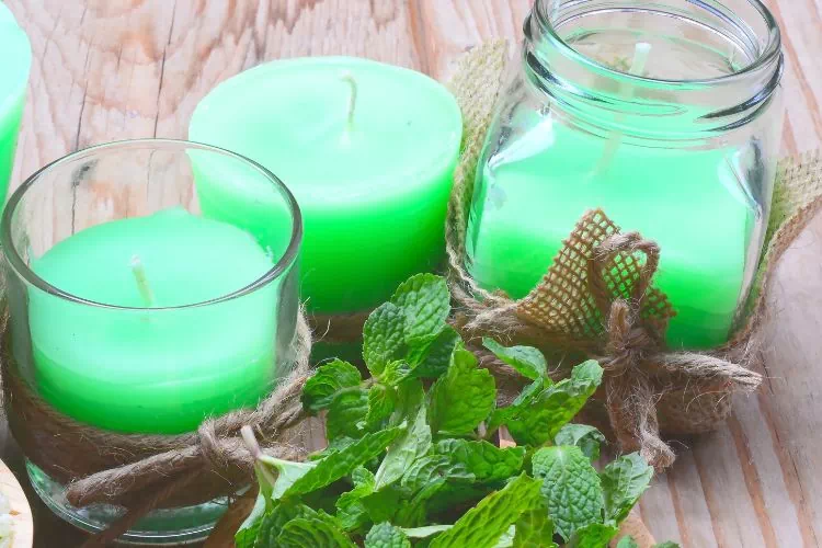 Bougies parfumées à la menthe