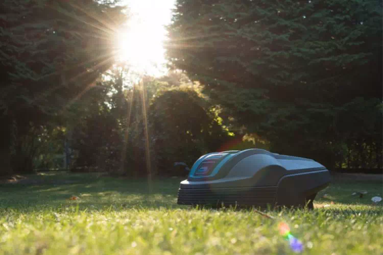 Robot tondeuse en train de tondre