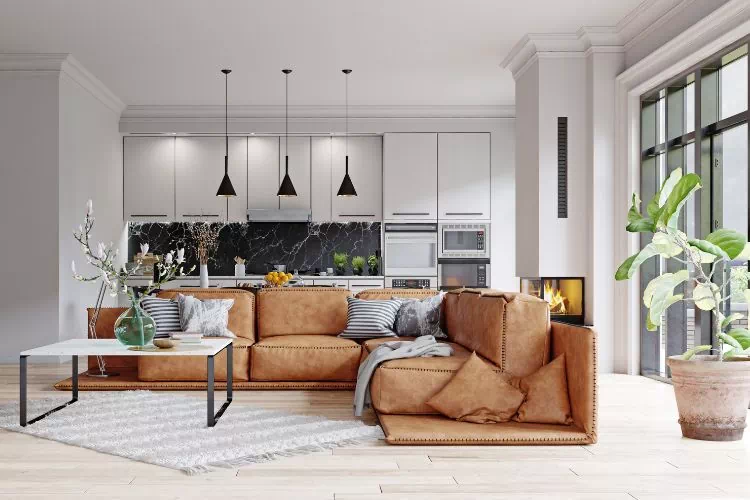 Tapis à poils courts dans un salon