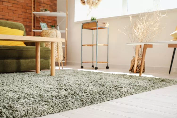 Tapis à poils longs dans un salon