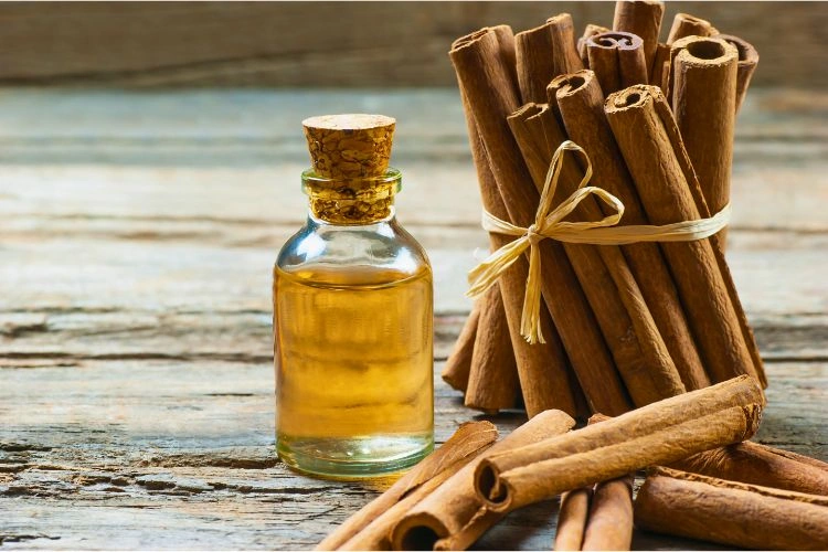 Bouteille d'une essentielle de cannelle