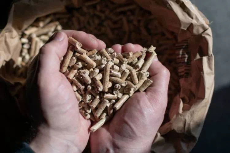 Personne prenant dans ses mains des granulés de bois