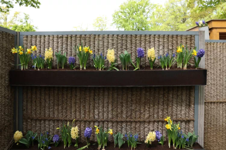 Différentes fleurs aux couleurs vives dans des jardinières sur une clôture extérieure