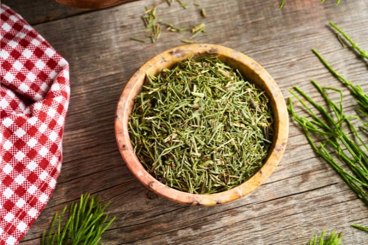 Feuilles de prêle dans un bol