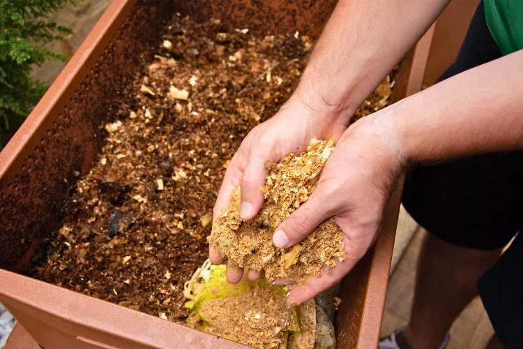 Personne en train de mettre une matière dans le composteur