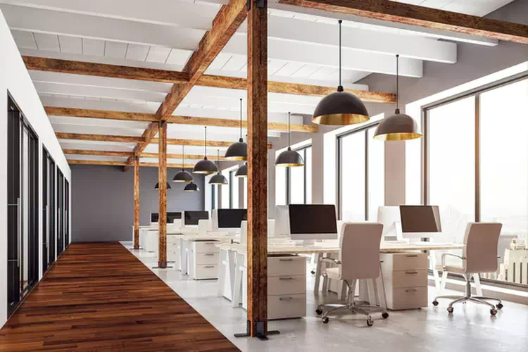 Bureau professionnel absorbeur d'écho