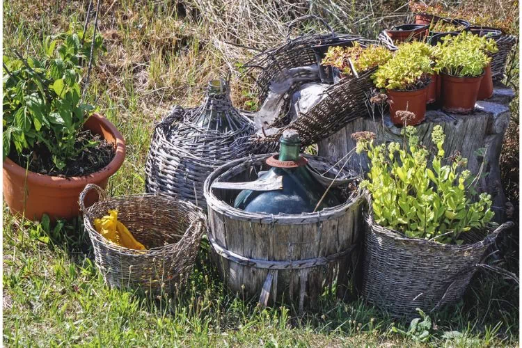 Jardin avec une dame-jeanne