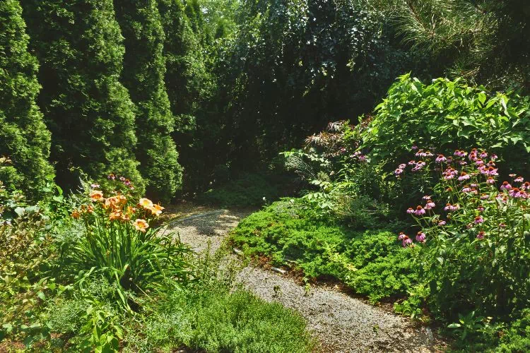 Jardin à la fois sauvage et entretenu