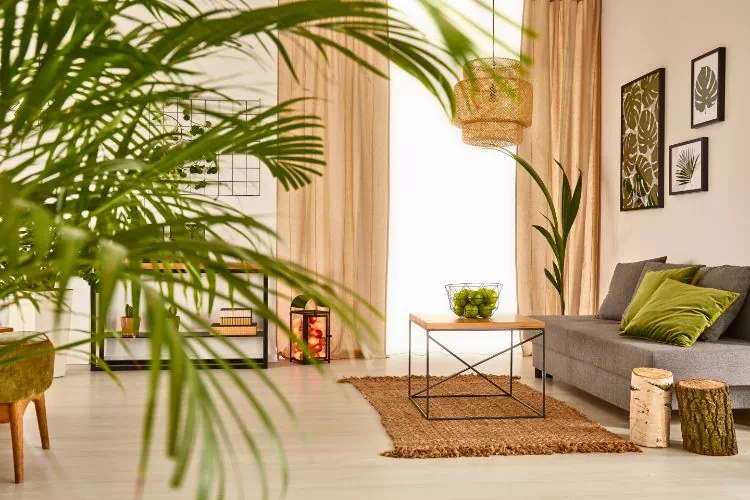 Décoration treopicale