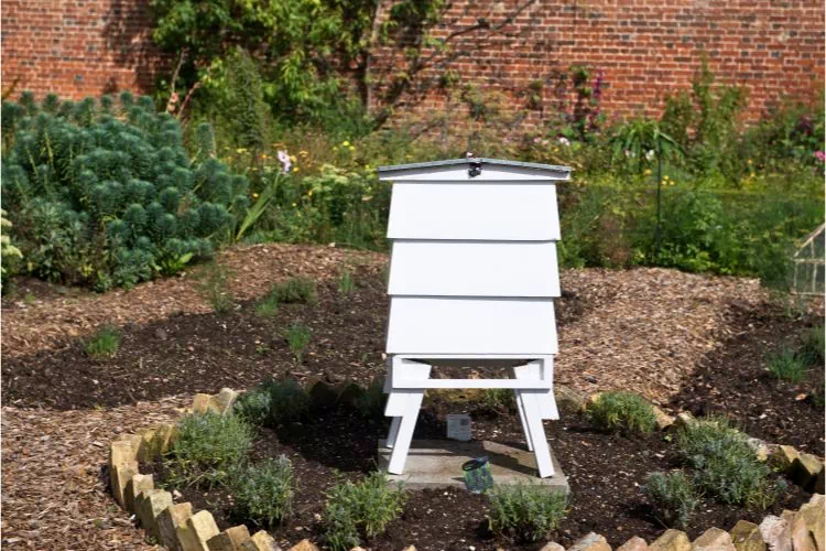 Ruche au milieu d'un jardin