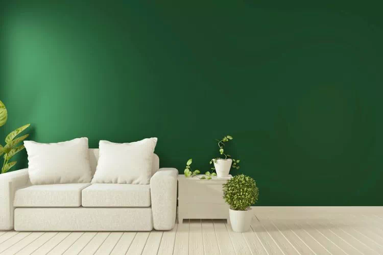 Salon avec mur vert foncé