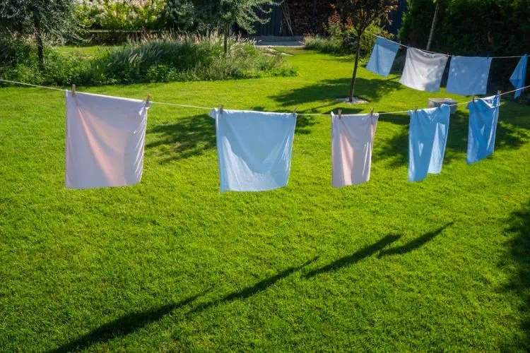 Corde à linge avec vêtements